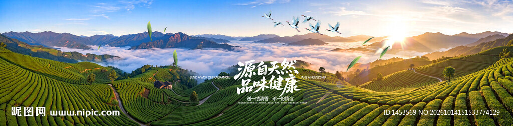 巨幅茶山