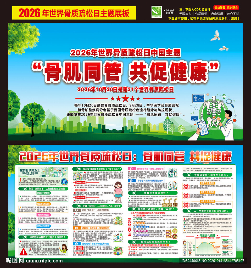世界骨质疏松日宣传栏