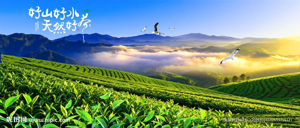 茶山