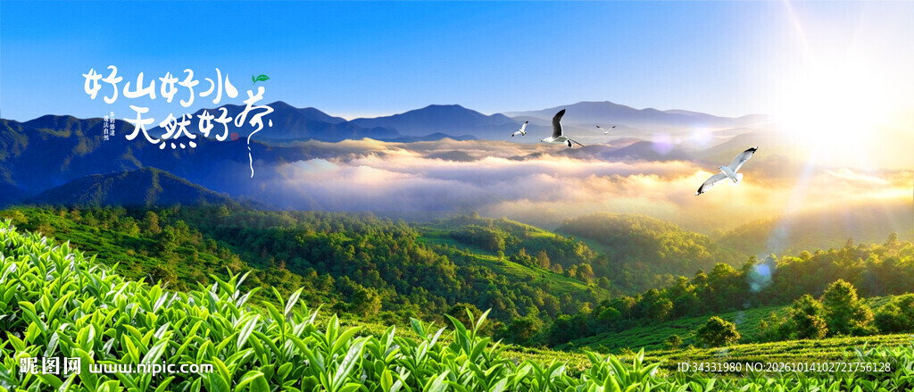 茶山