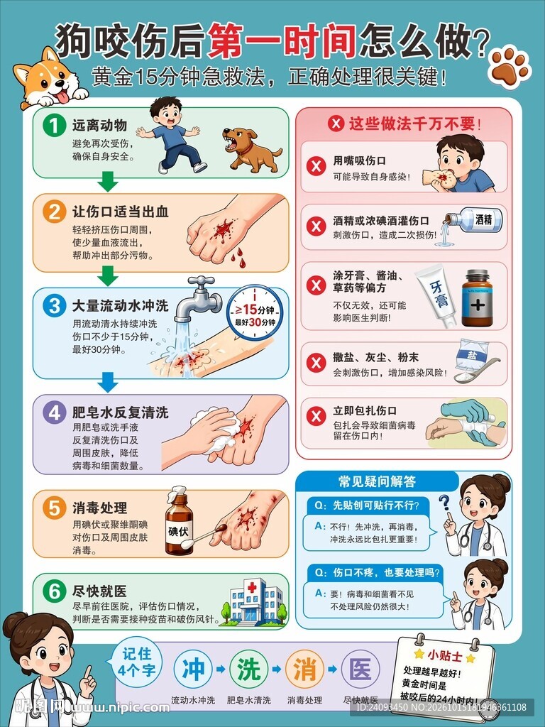 狗咬伤后急救科普指南