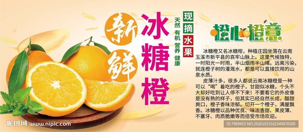 冰糖橙