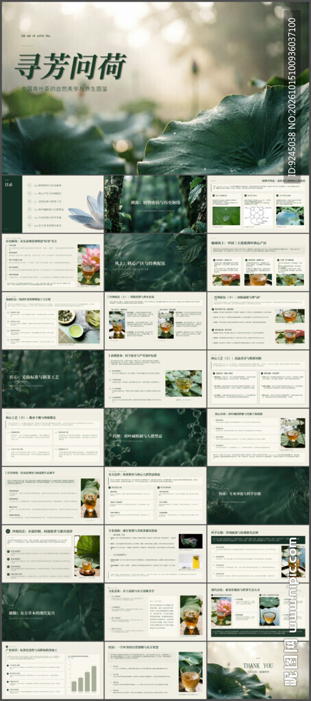 寻芳问荷中国荷叶茶介绍ppt