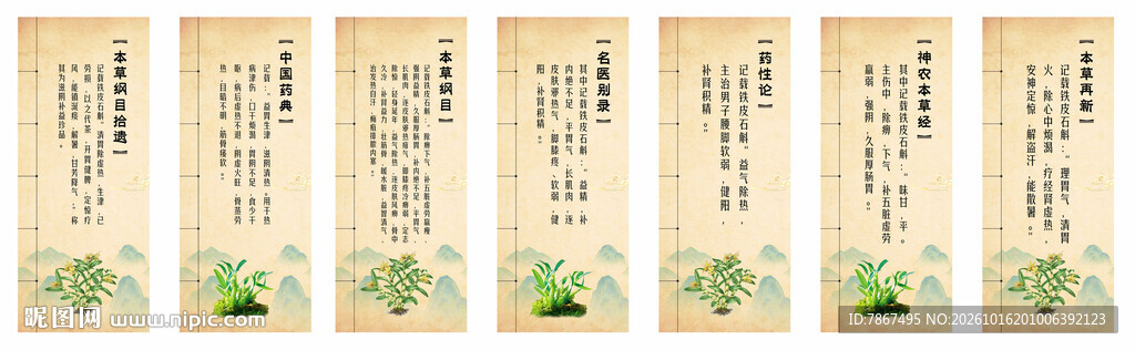 中药药材石斛介绍展板