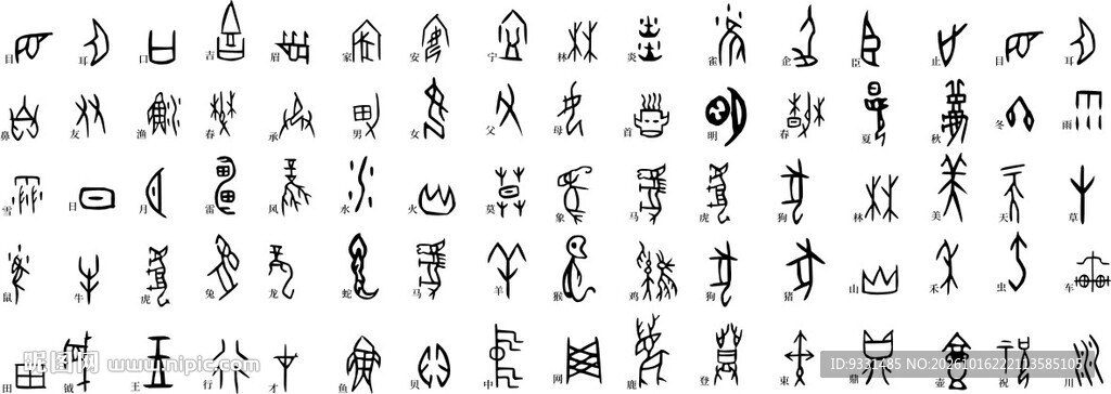 甲骨文 矢量图