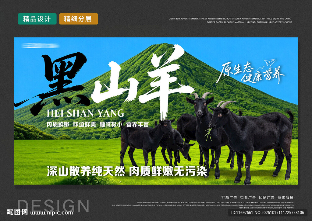 黑山羊