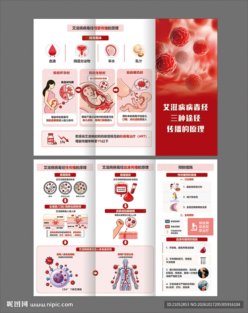 艾滋病传播原理三折页
