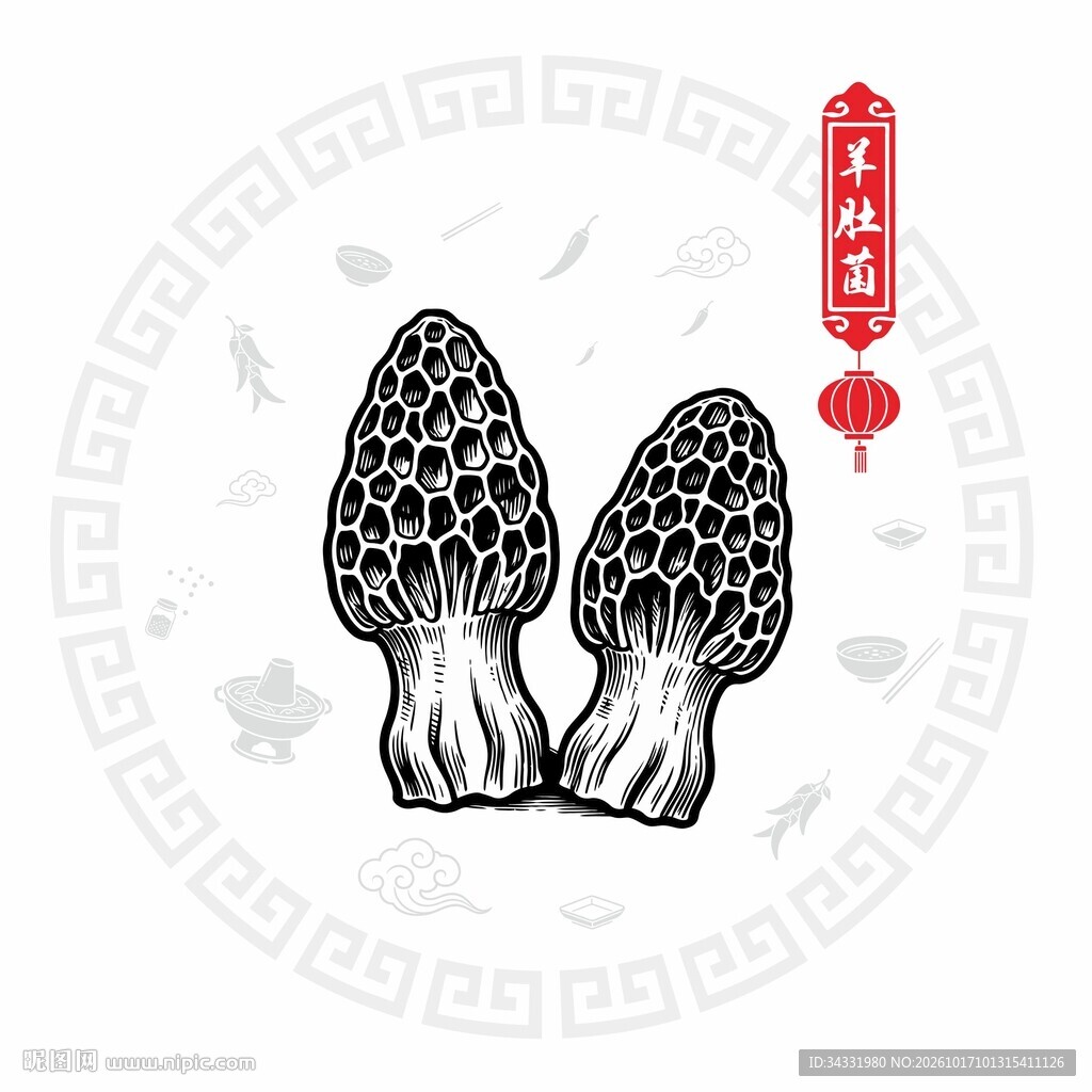 羊肚菌