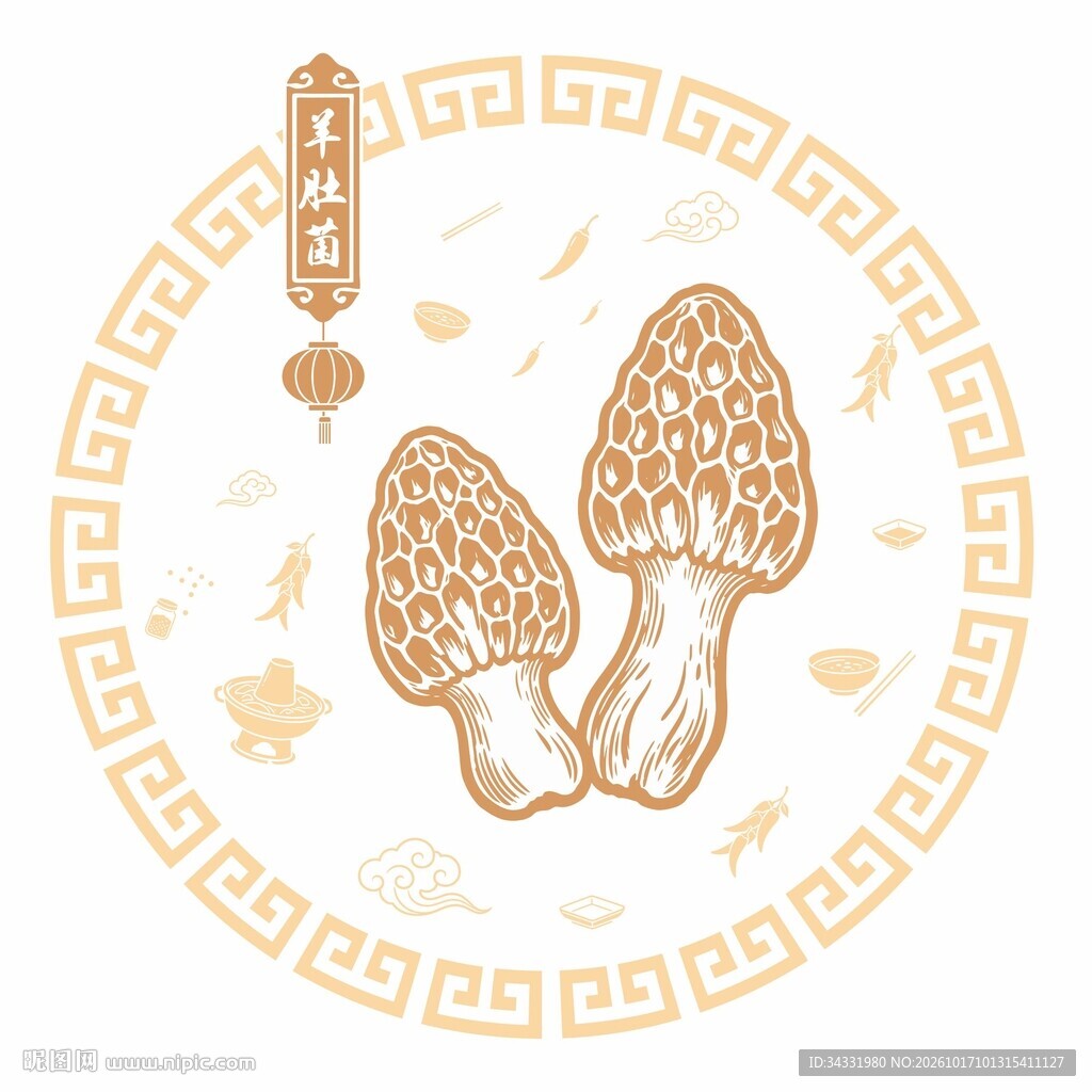 羊肚菌