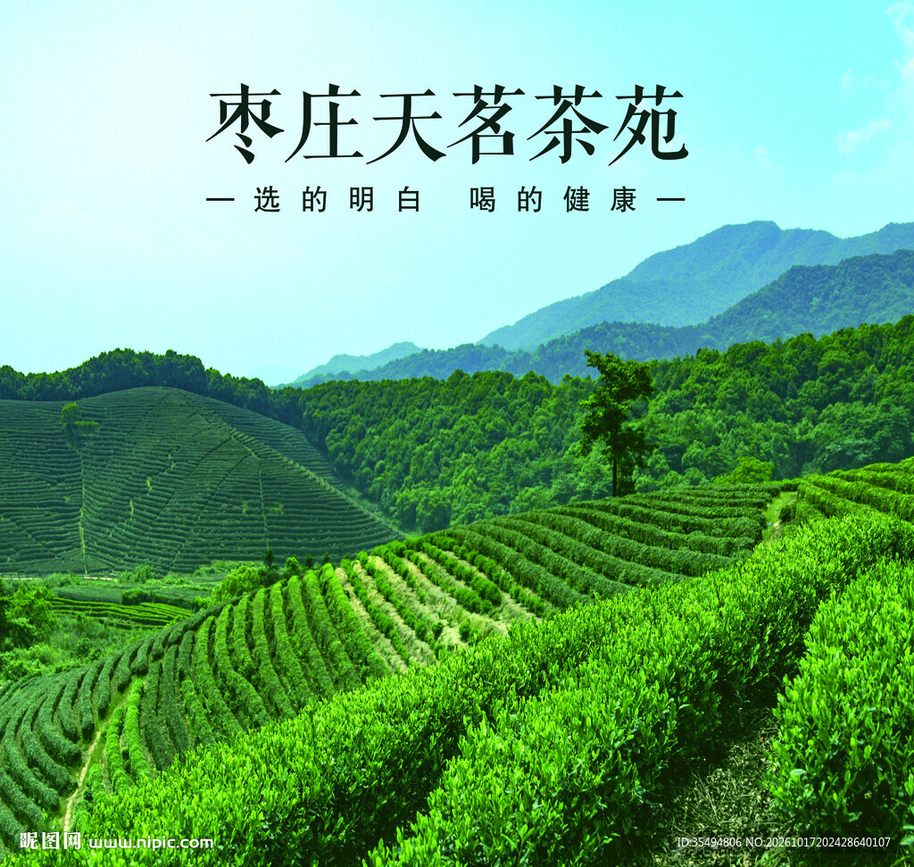 天茗茶苑海报背景