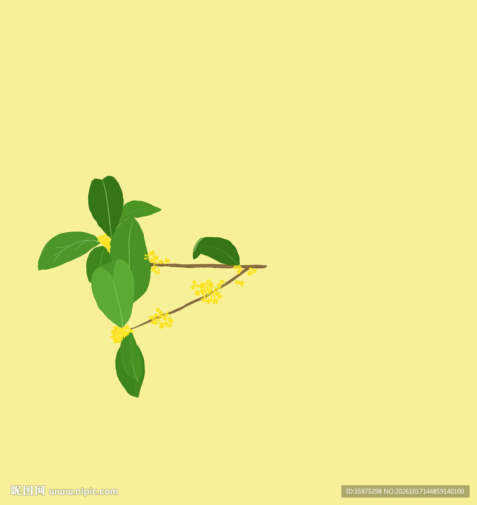 桂花