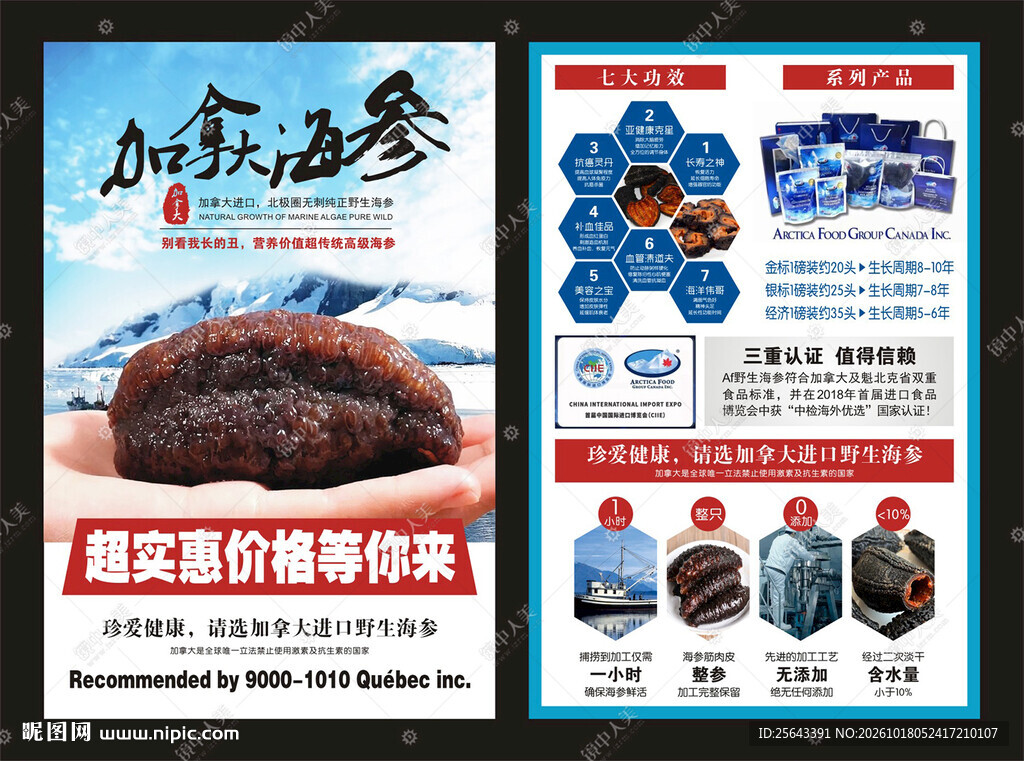加拿大海参