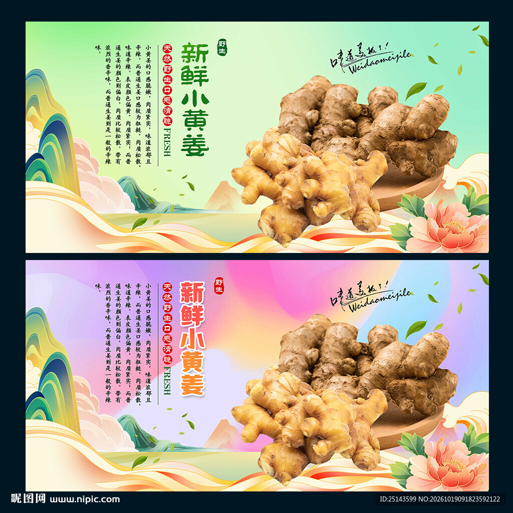 小黄姜