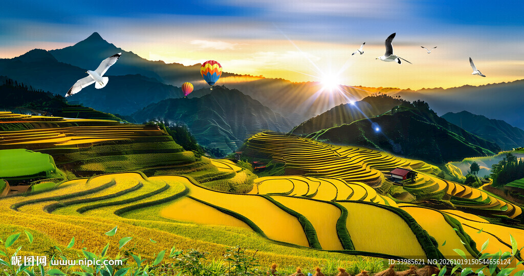 梯田
