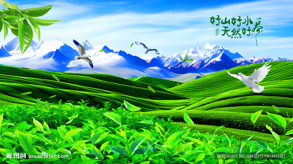 茶山