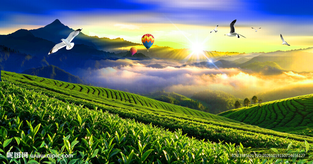 茶山云海
