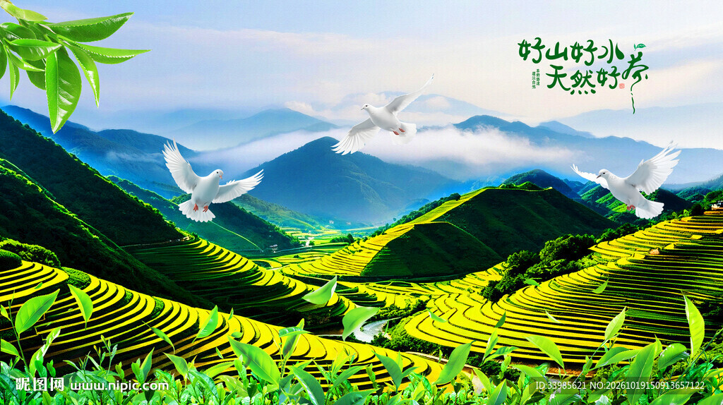 梯田茶园