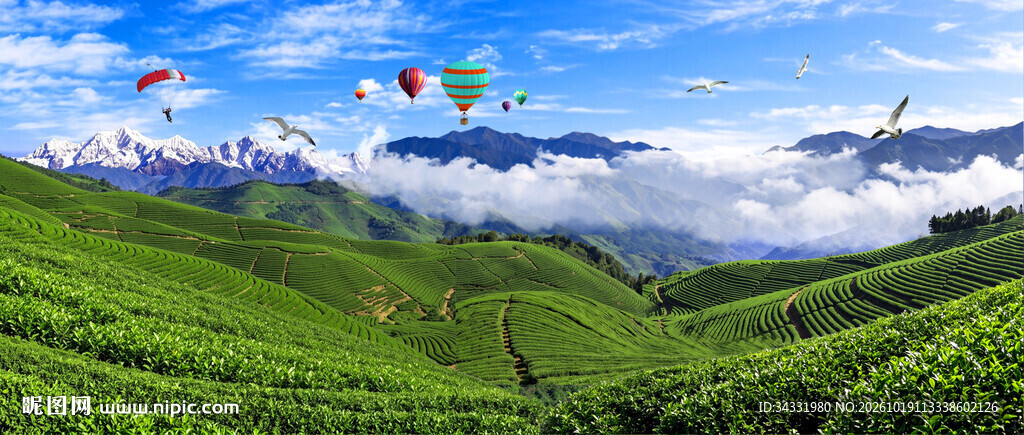 茶山