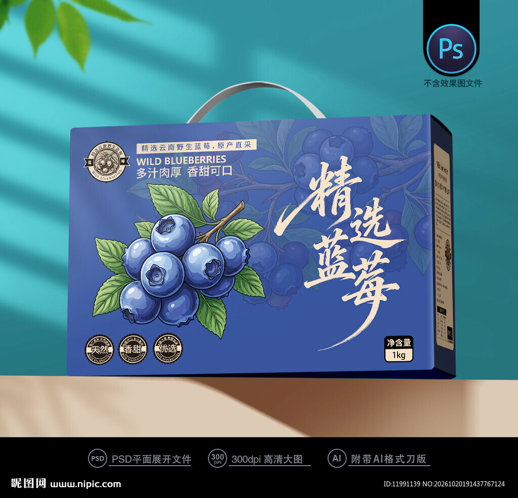 蓝莓包装