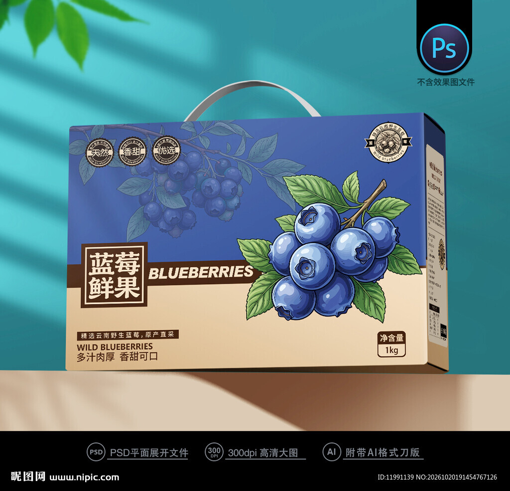 蓝莓包装
