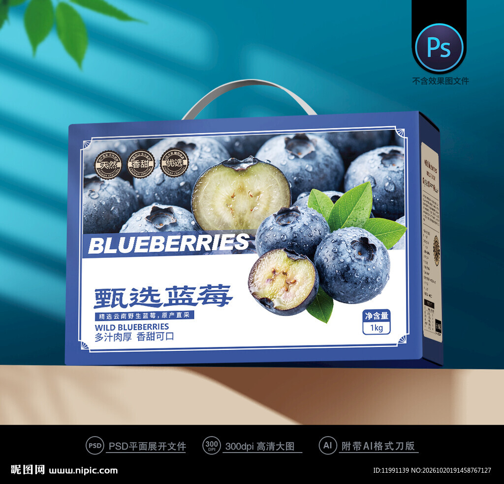 蓝莓包装