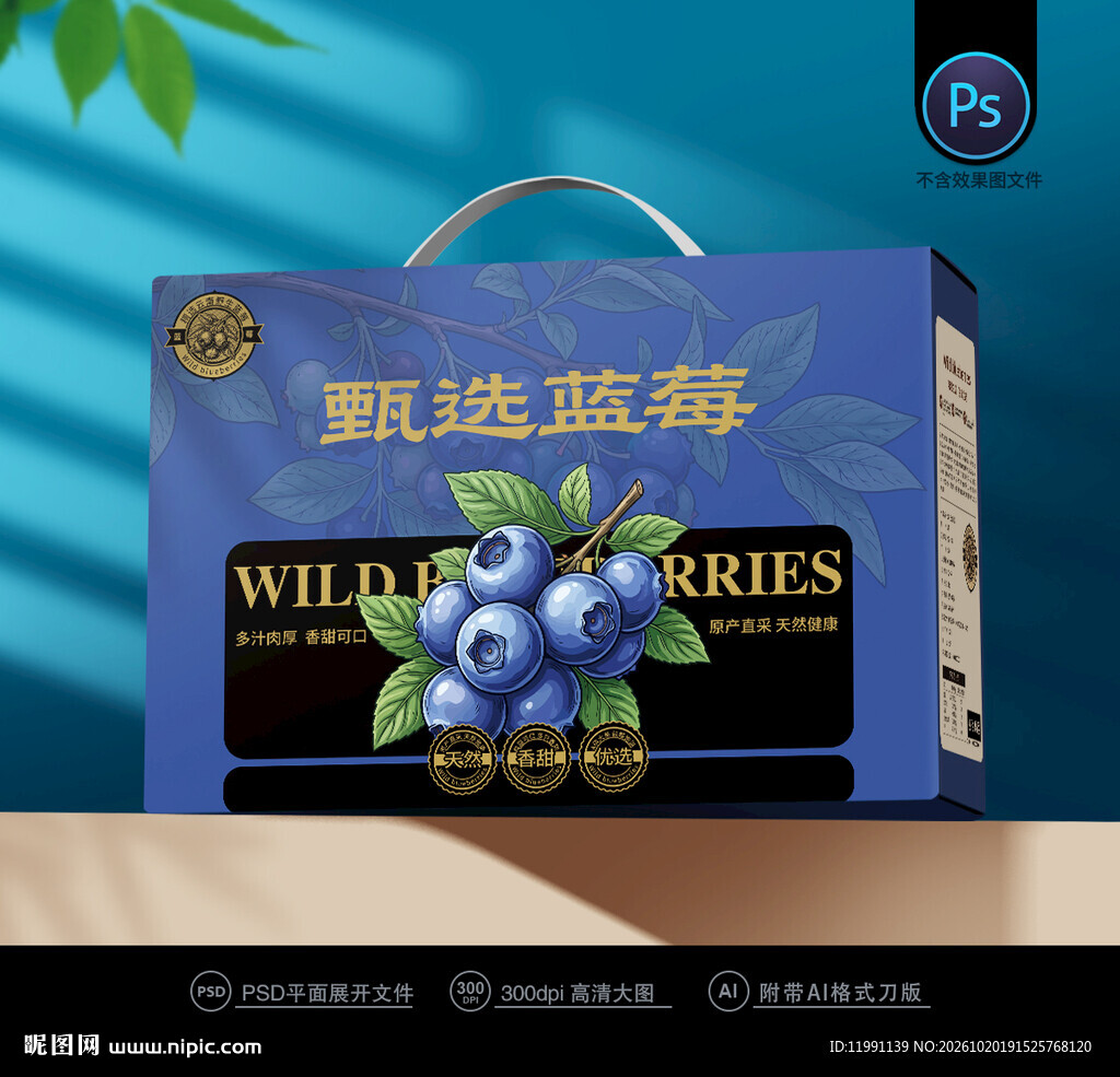 蓝莓包装