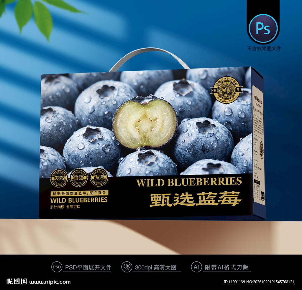 蓝莓包装
