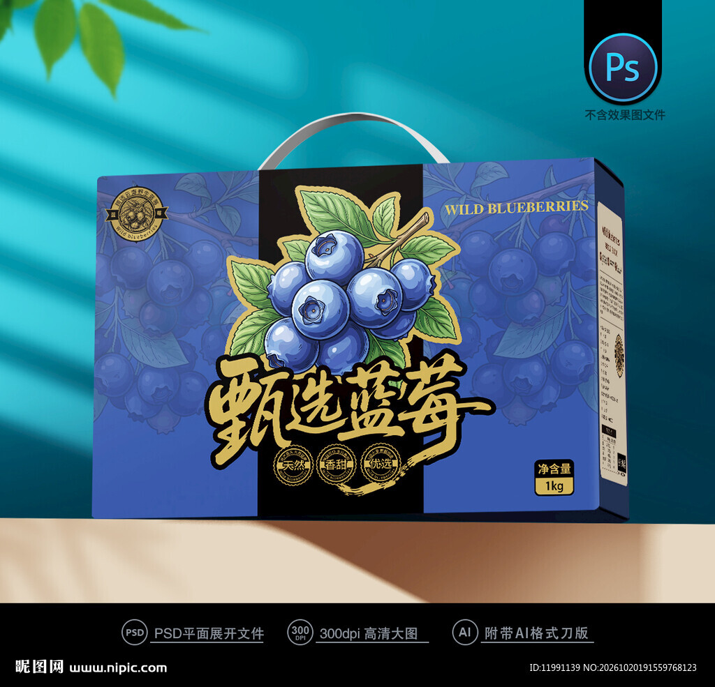 蓝莓包装