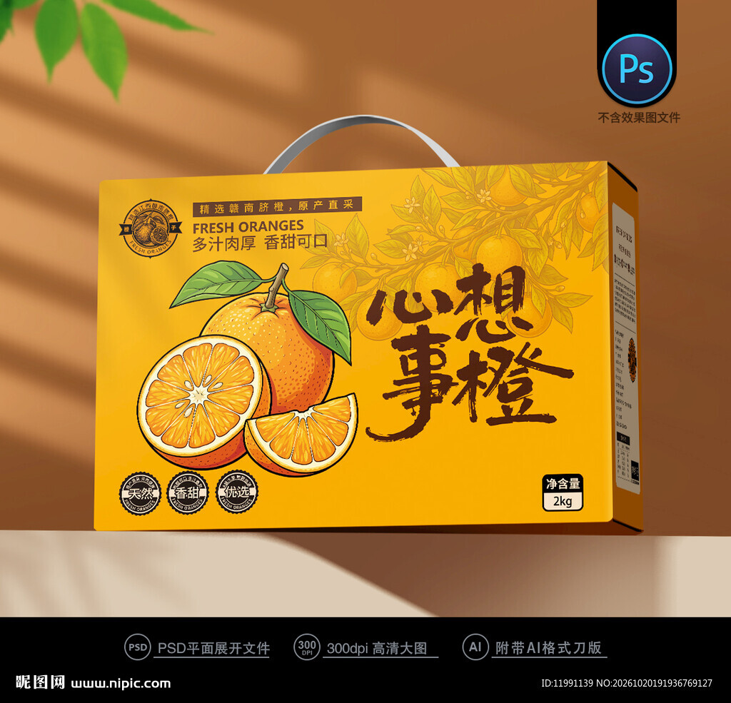 橙子包装