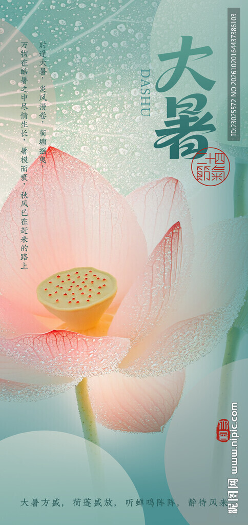 大暑海报