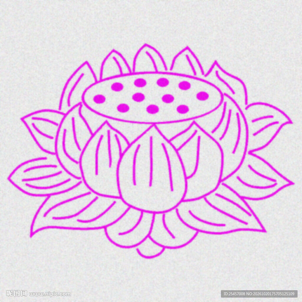 线稿莲花   