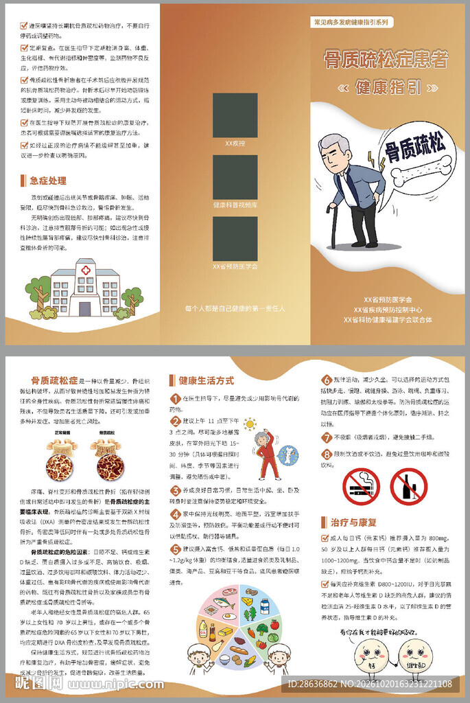骨质疏松症患者三折页