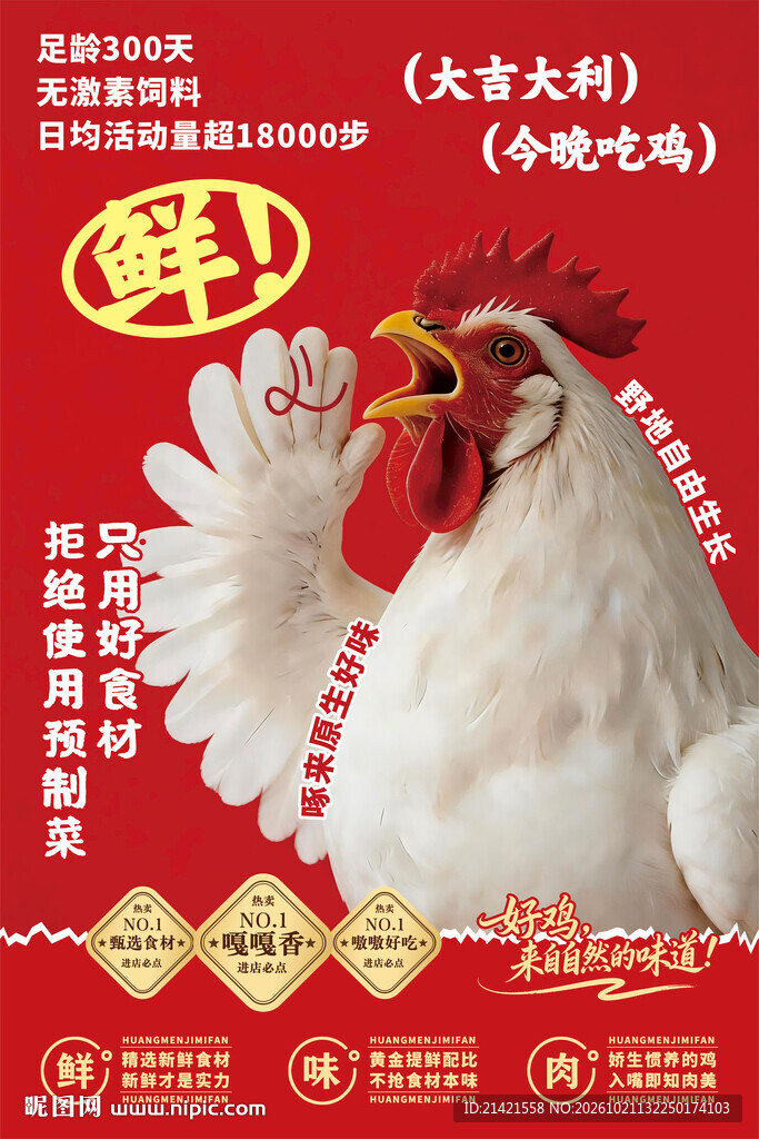农家土鸡海报
