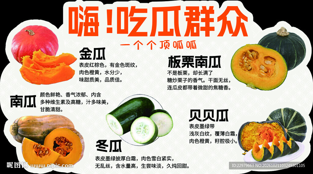 瓜类食材科普图鉴