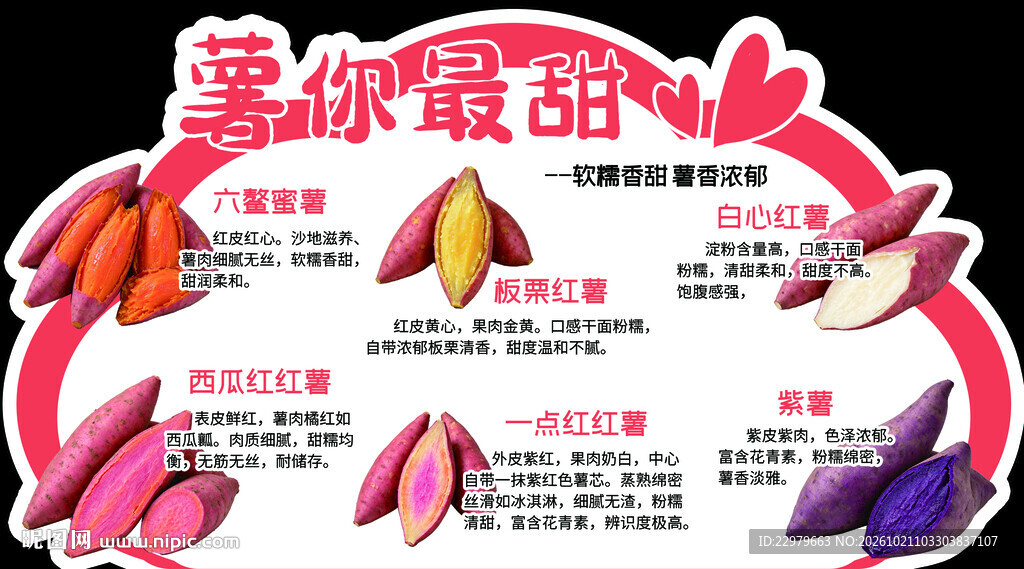 薯你最甜红薯品种介绍