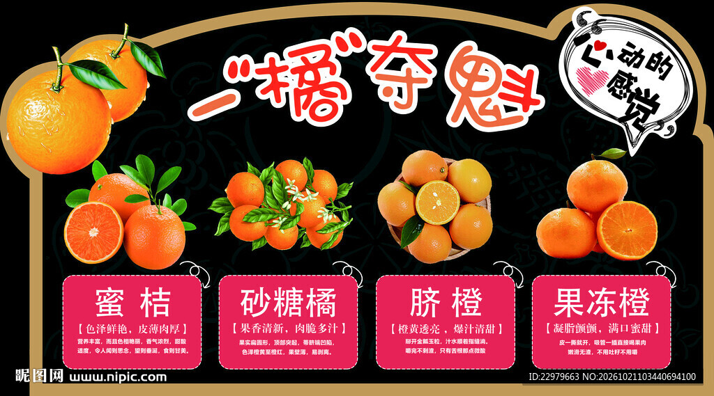 一橘夺魁柑橘促销海报