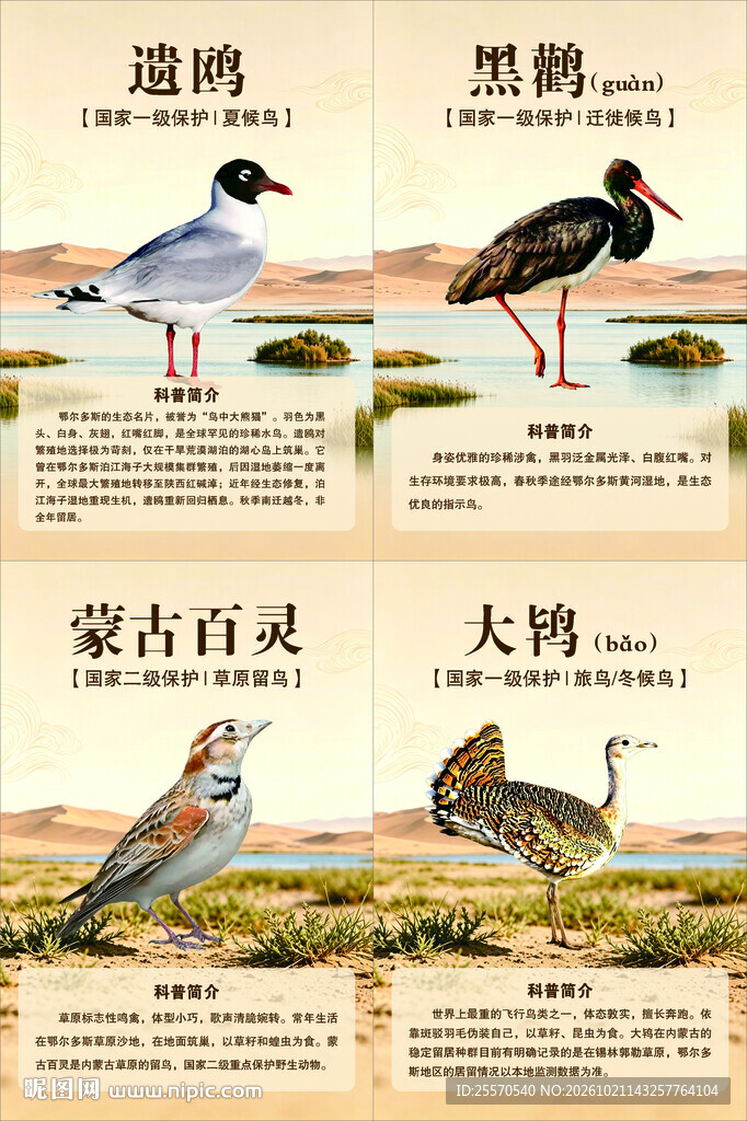 鄂尔多斯珍稀鸟类科普展板