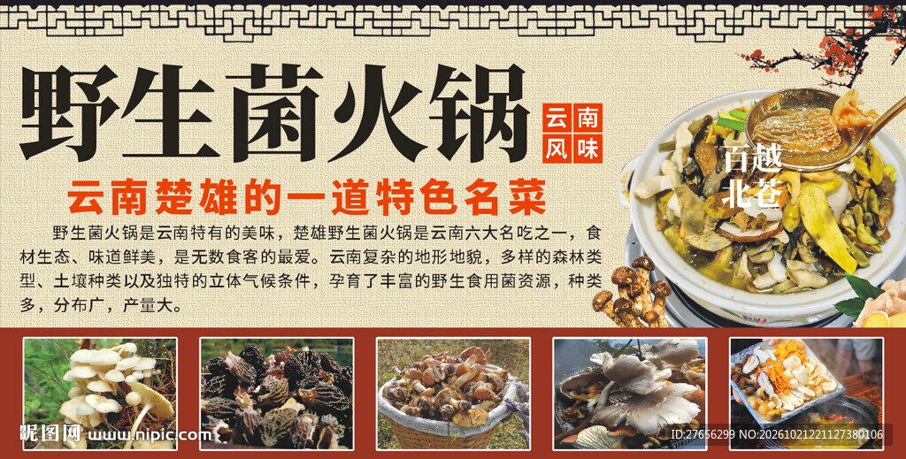 野生菌火锅