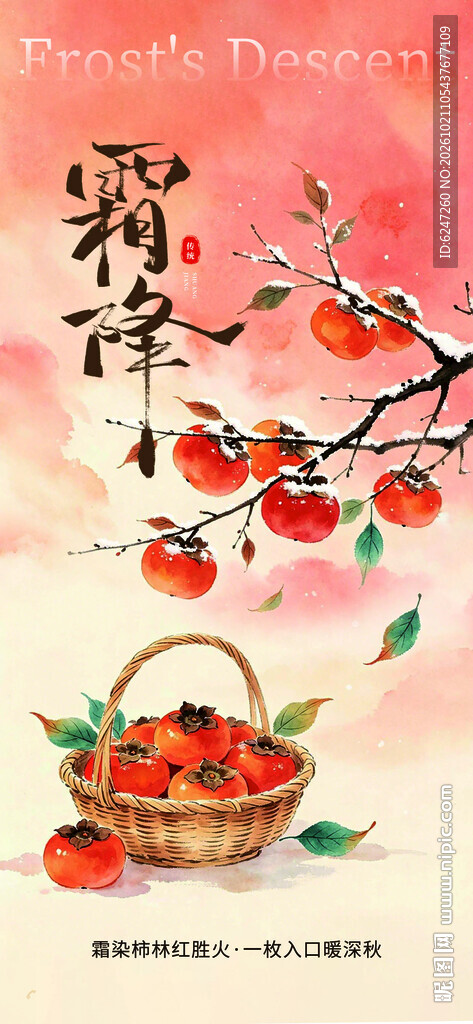 霜降柿子国风手绘插画