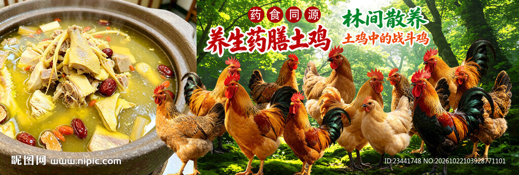 药膳鸡