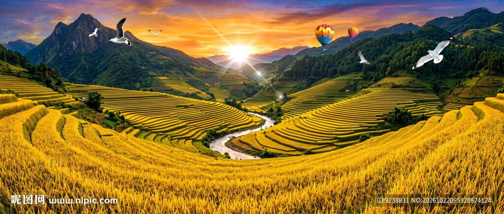 丰收梯田