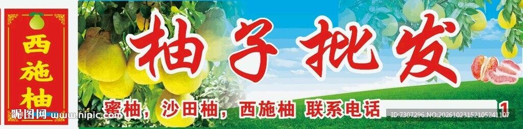 蜜柚 沙田柚 西施柚