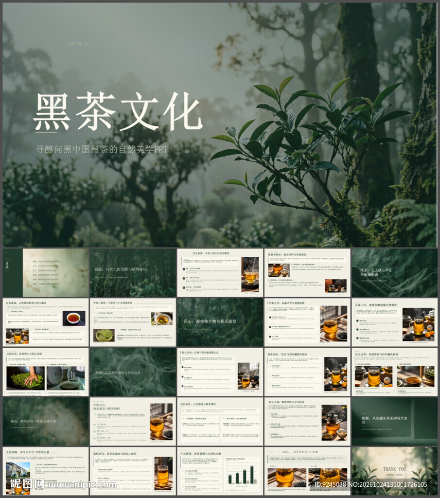 黑茶中国黑茶介绍茶文化ppt