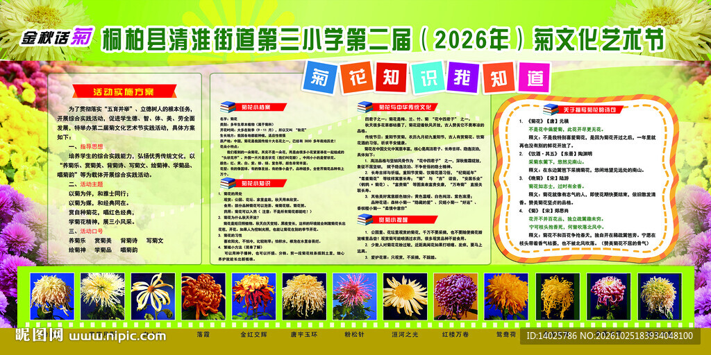 菊花知识展板校园文化艺术节展板