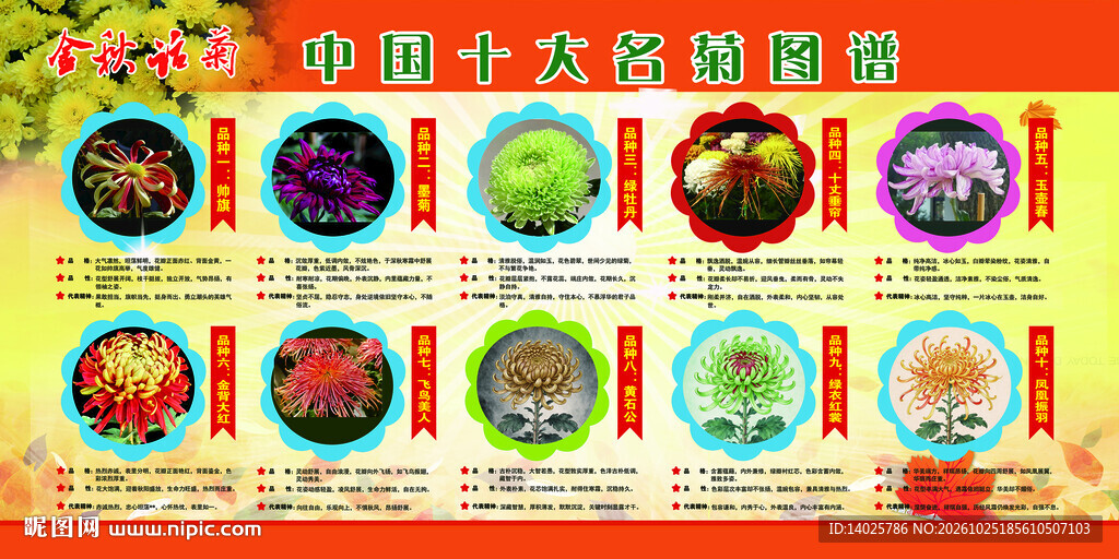 菊花展中国十大名花图谱金秋话菊