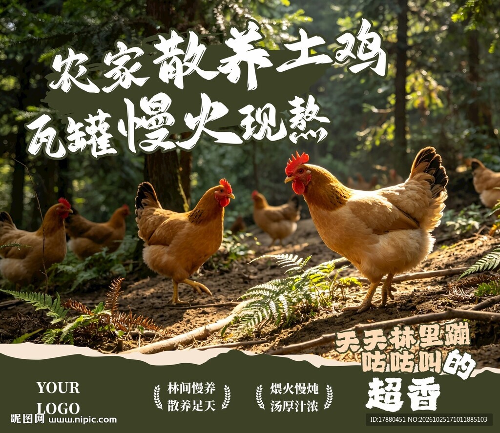 散养鸡海报