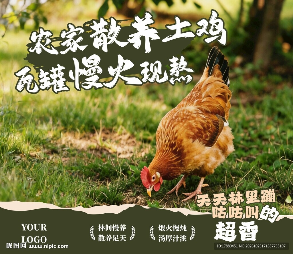 散养鸡海报