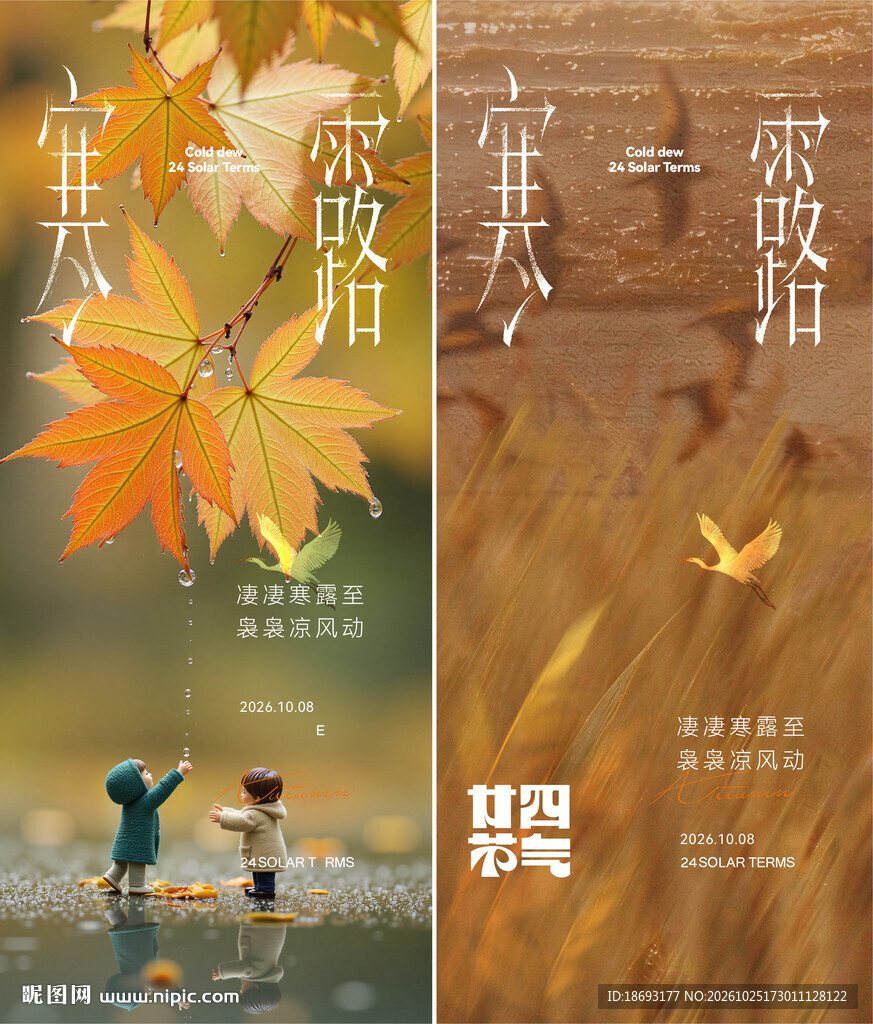 白露 节气  刷屏 朋友圈 海