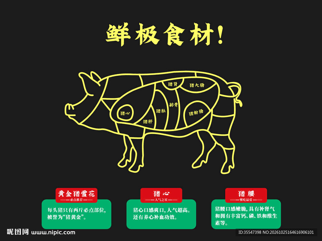 猪 线条图
