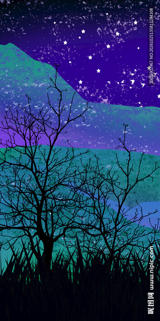 唯美星空山野夜景玄关壁画